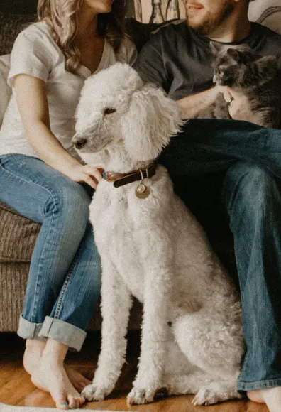 man and woman sitting on couch with dog and cat